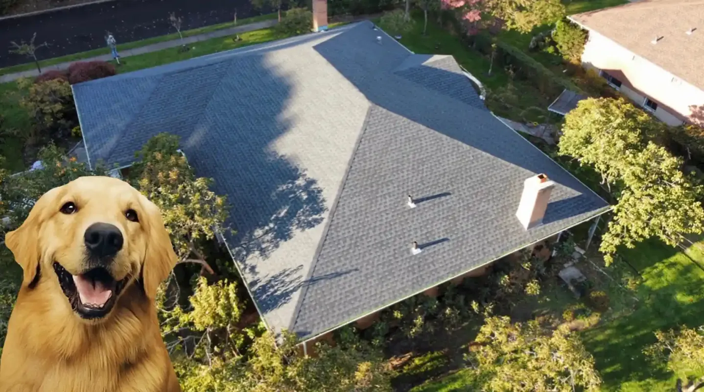 Aerial view of a new dark shingle roof with a brick chimney among trees